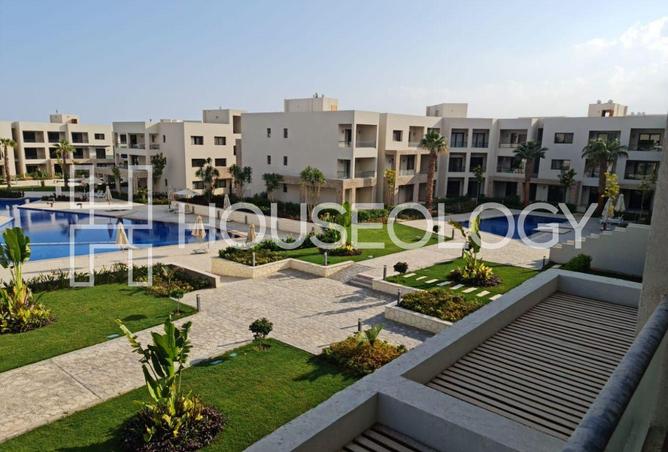 8367097 - Property Image 3