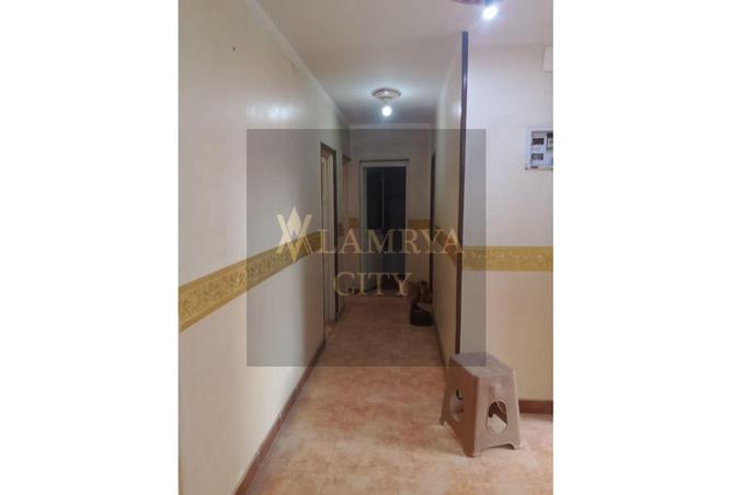 8089097 - Property Image 3