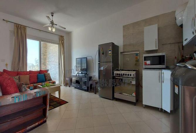 8295553 - Property Image 3