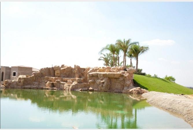 8502382 - صورة العقار 3