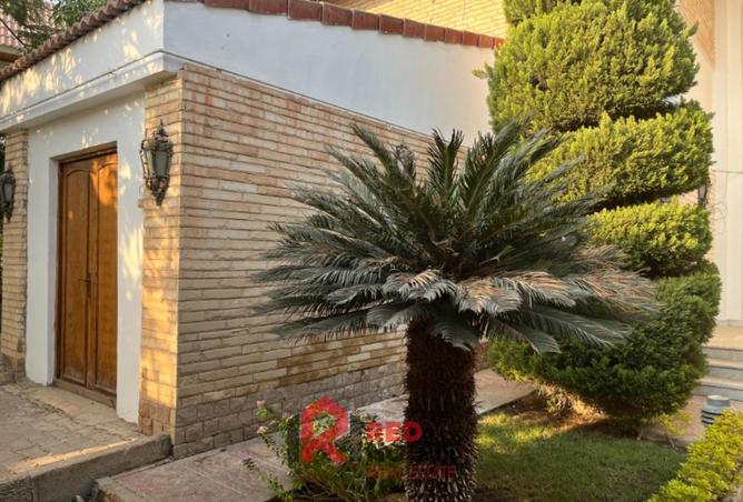 8231747 - صورة العقار 3