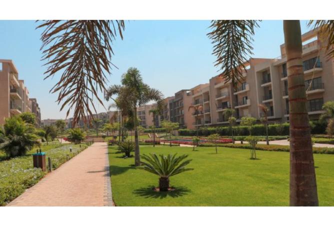 8043599 - Property Image 2