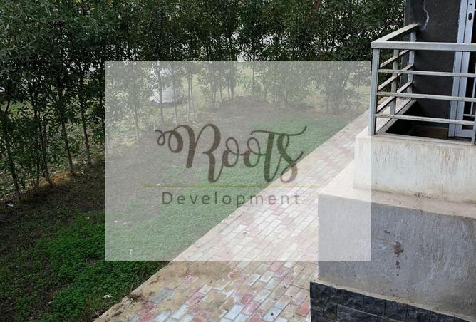 7896086 - Property Image 2