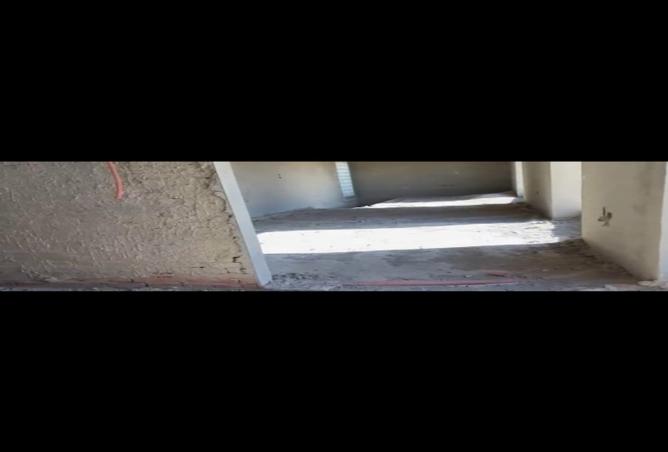 8197804 - صورة العقار 3