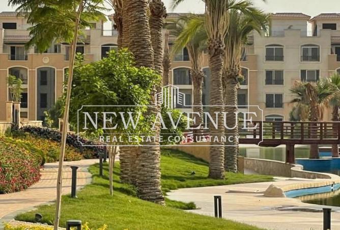 8113903 - Property Image 2