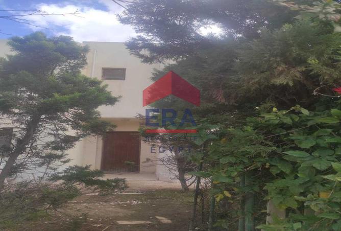 8188814 - صورة العقار 2