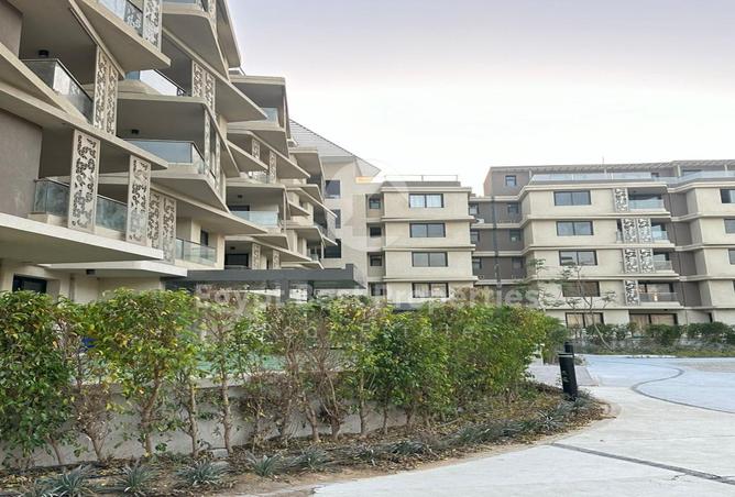 7992275 - Property Image 3