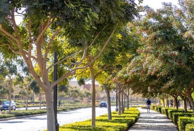 8143480 - صورة العقار 3