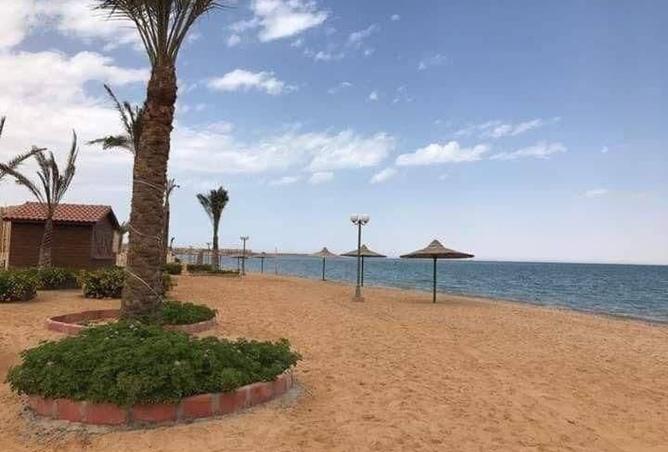 8558877 - صورة العقار 3