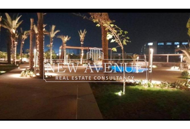 8365933 - Property Image 3