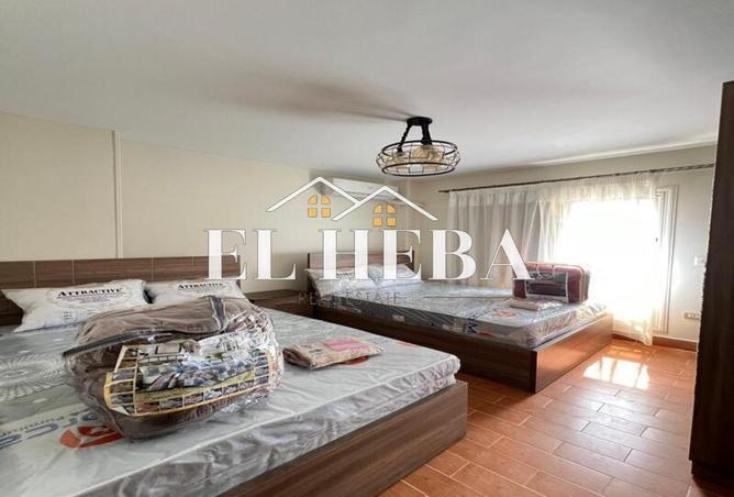 8390455 - Property Image 2