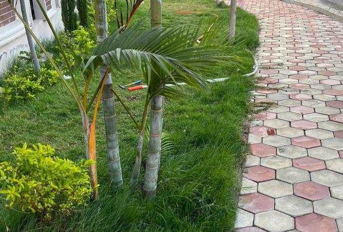 8390663 - Property Image 2