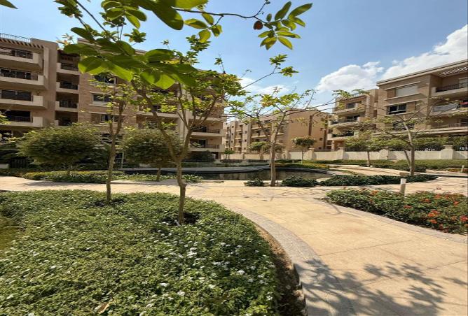 8441592 - Property Image 3