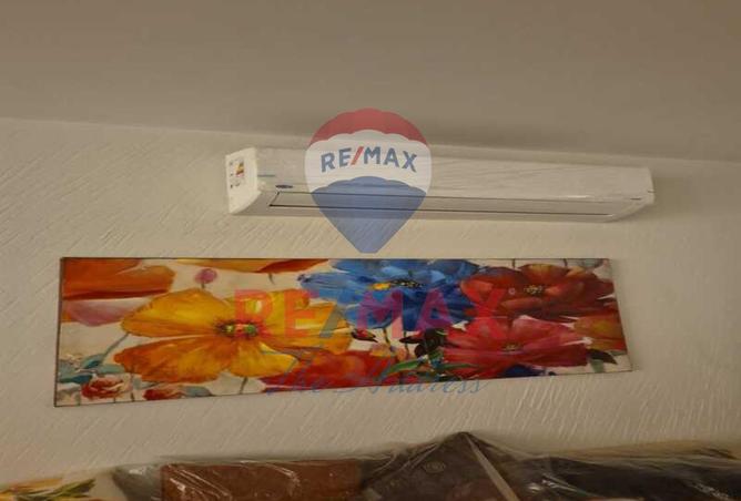 8409283 - Property Image 3