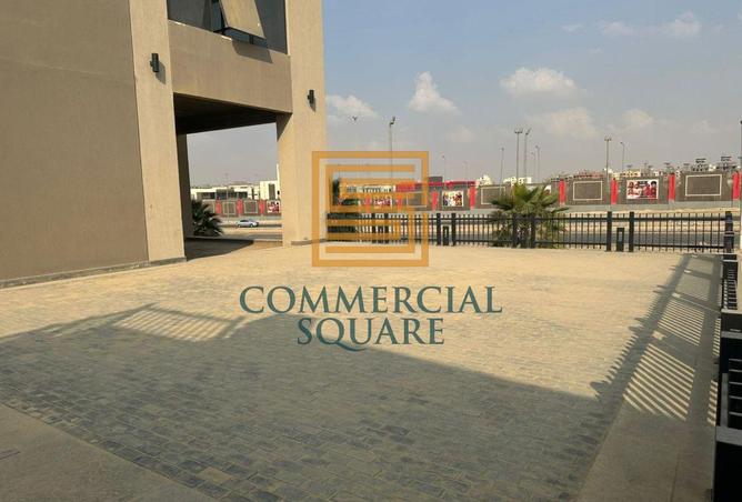 8149925 - Property Image 3