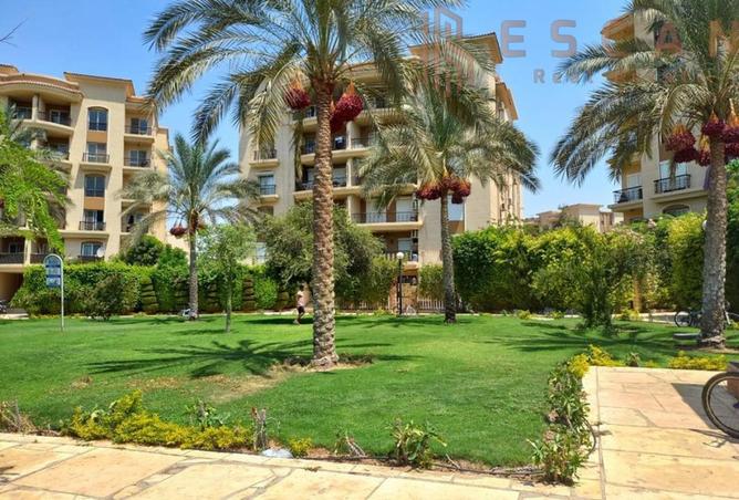 8148931 - صورة العقار 3