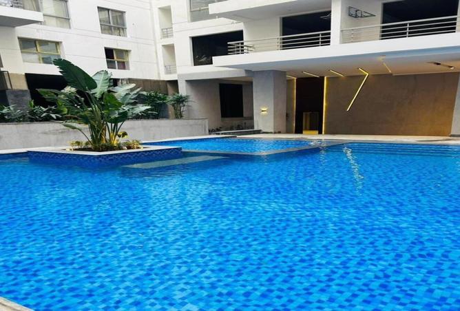 8136499 - Property Image 3