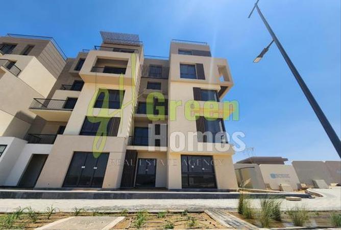 7993664 - صورة العقار 3