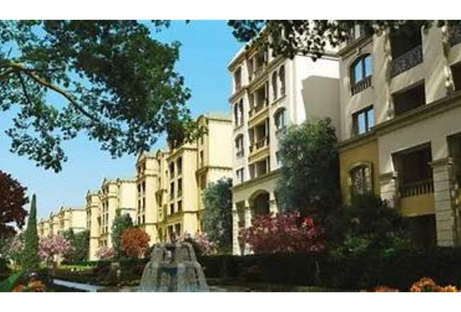8157342 - Property Image 3