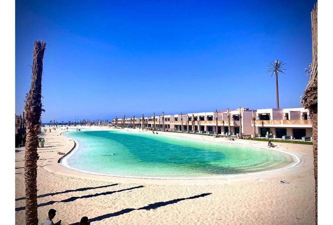 8239881 - صورة العقار 2