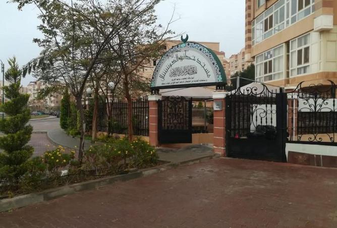 8204453 - Property Image 3