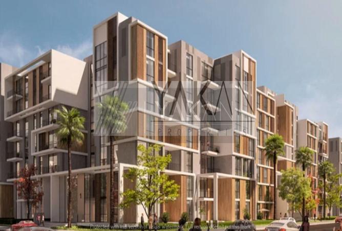 8207790 - Property Image 3