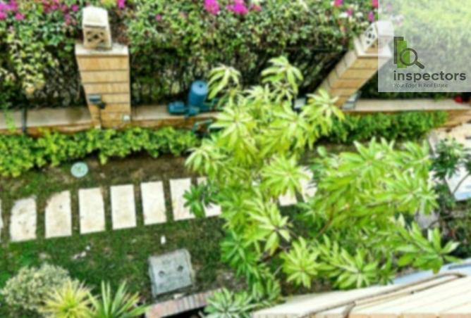 7727243 - صورة العقار 2