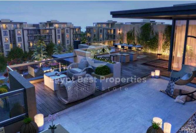 8305397 - Property Image 3