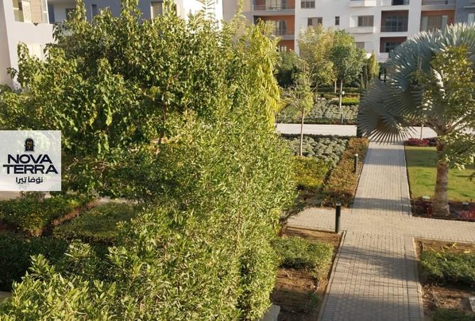 8125794 - صورة العقار 3