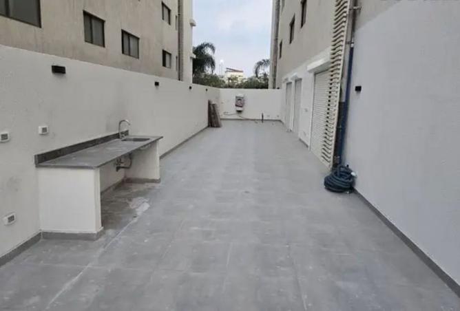 8238496 - Property Image 3