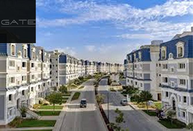 7981159 - صورة العقار 3