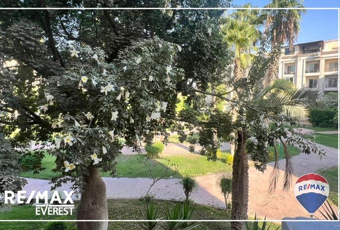 8349977 - صورة العقار 3