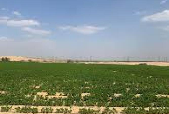 8463252 - Property Image 2