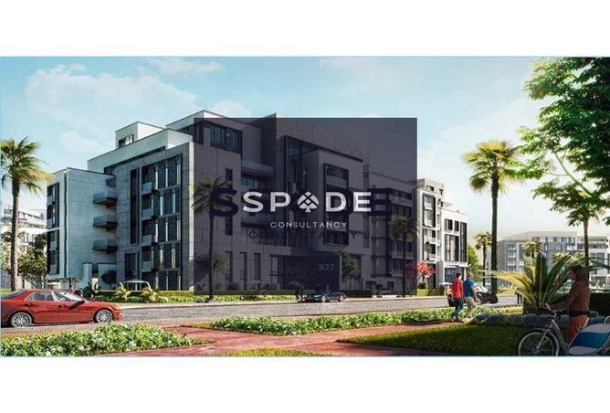 8176463 - Property Image 3