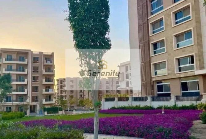7909794 - Property Image 2