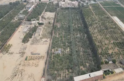 Farm - Studio for sale in Gamaiet Ahmed Orabi - Obour City - Qalyubia