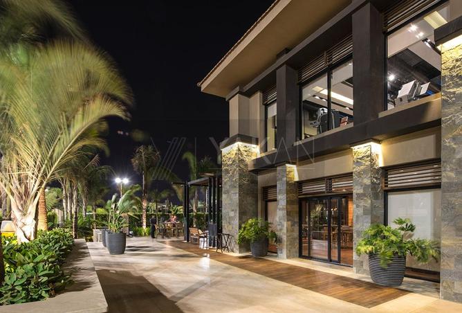 8505573 - صورة العقار 3