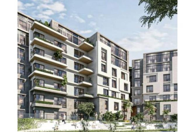 7938529 - Property Image 3