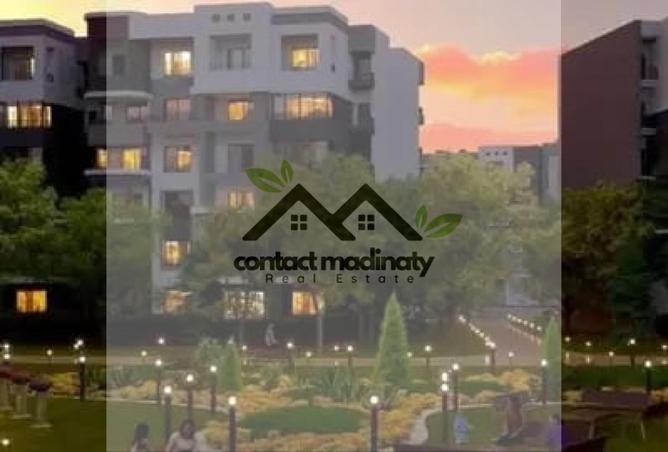 8152151 - Property Image 3