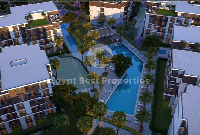 8402974 - Property Image 3