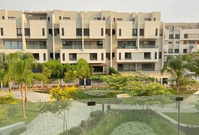 8297524 - Property Image 3