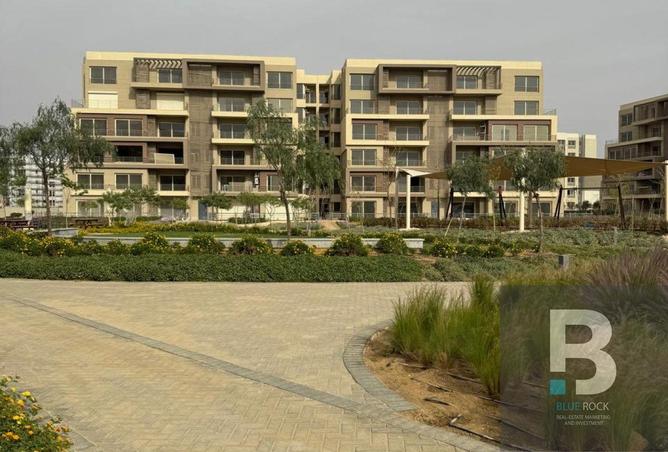 8113856 - Property Image 3