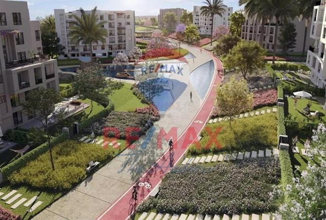 8430479 - Property Image 3