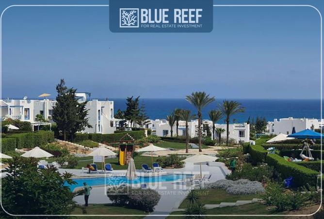 8444849 - Property Image 3