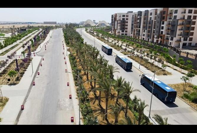 8292074 - Property Image 2