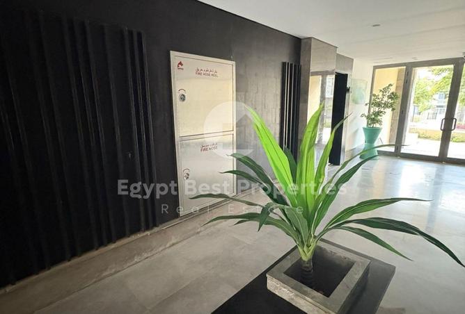 8334029 - Property Image 2