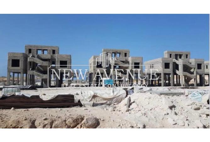 8239231 - Property Image 3