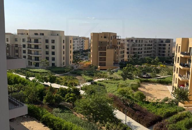 7931552 - الصورة الرئيسية للعقار