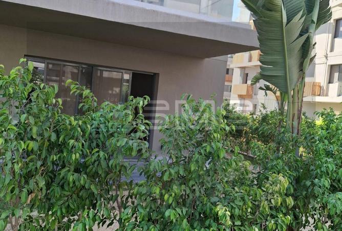 7832450 - صورة العقار 3