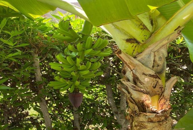 8337803 - صورة العقار 2